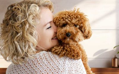 Balancing Allergies and Pet Love: A Guide to Dealing with Human Allergies to Pets